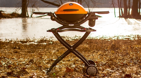 The Anatomy of the Portable and Powerful Q Grill